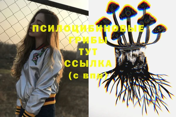 ПСИЛОЦИБИНОВЫЕ ГРИБЫ Богородск