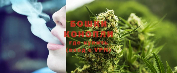 ПСИЛОЦИБИНОВЫЕ ГРИБЫ Богородск