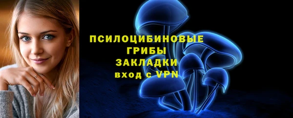 дурь Богородицк