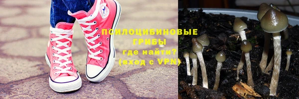 шишки Богданович