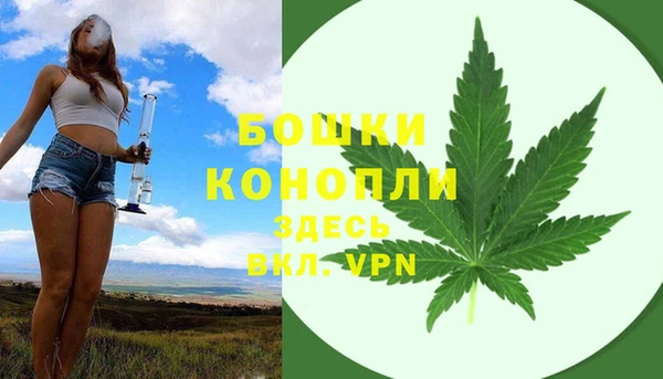 дурь Богородицк